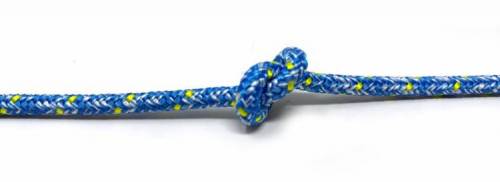 Kingfisher Evolution Sheet Plus